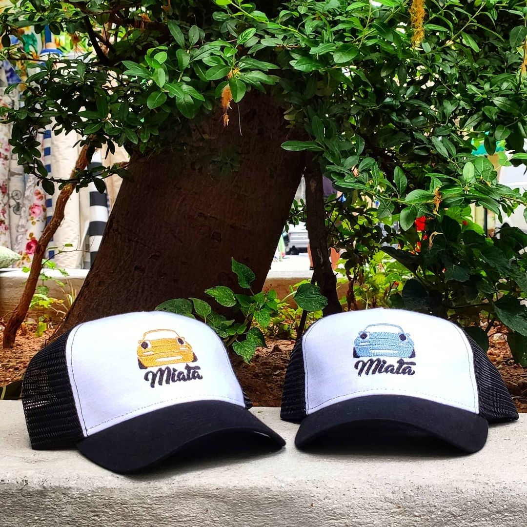 Two hats with embroidery of cars